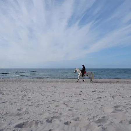 Achtern Diek Haus 8 4 Zingst